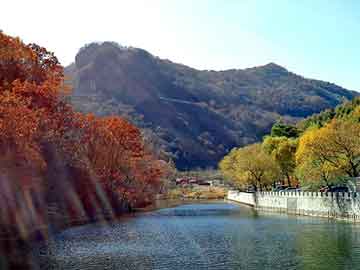 澳门期期准免费精准，和老师同居的日子